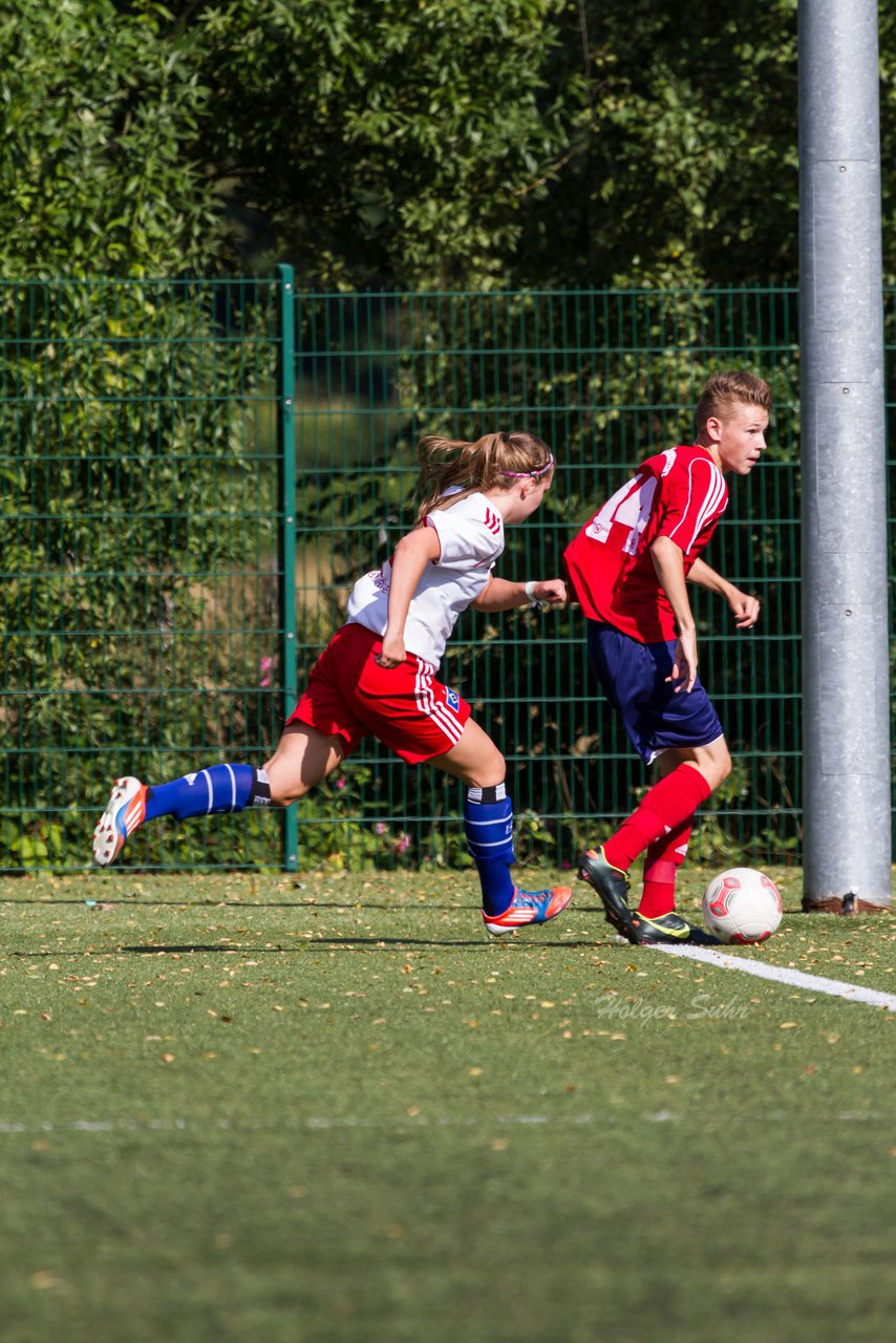 Bild 62 - Frauen HSV - cJun Eintracht Norderstedt : Ergebnis: 1:16